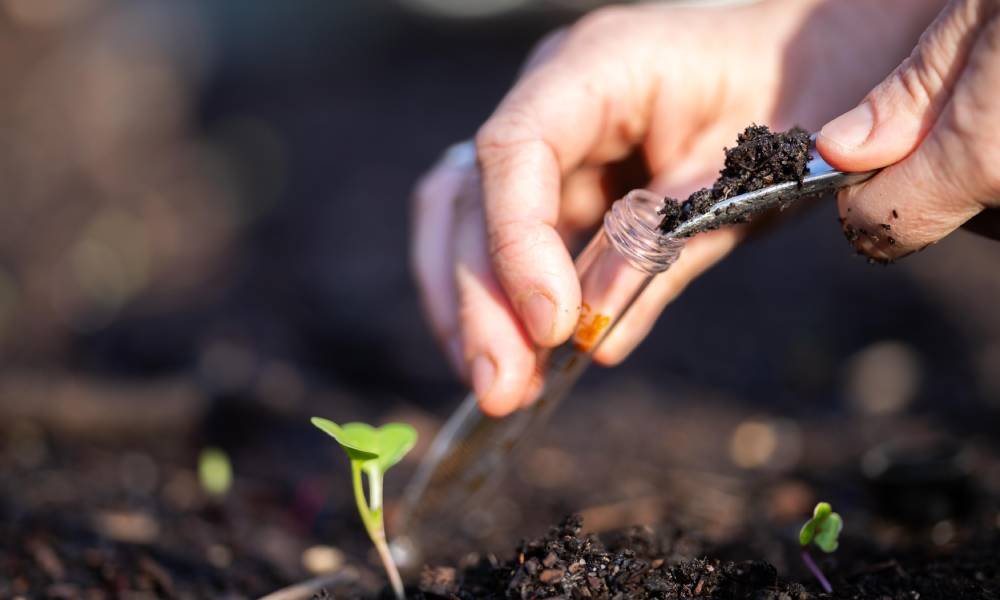 5 Ways To Test Your Soil Before You Build a Project